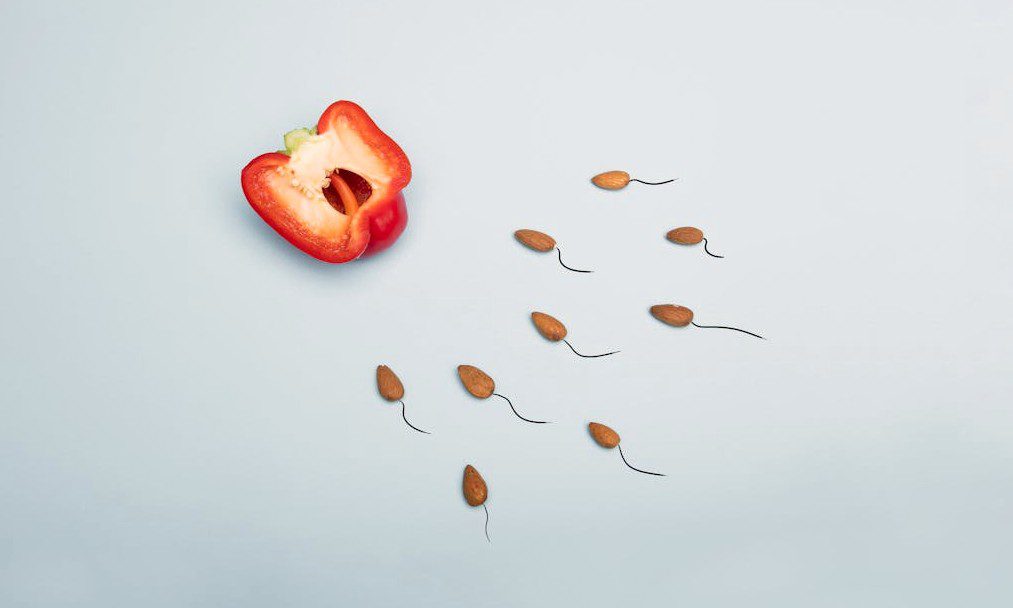 냉동난자비용