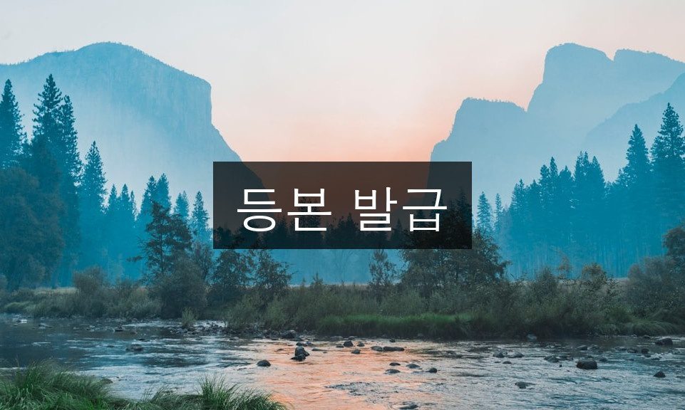 등본 발급 2025년 달라지는 3가지 핵심 변경점