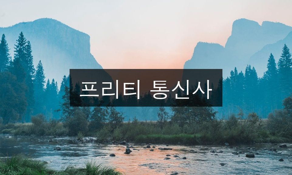 프리티 통신사 요금제 완벽 가이드 | 현명한 선택법