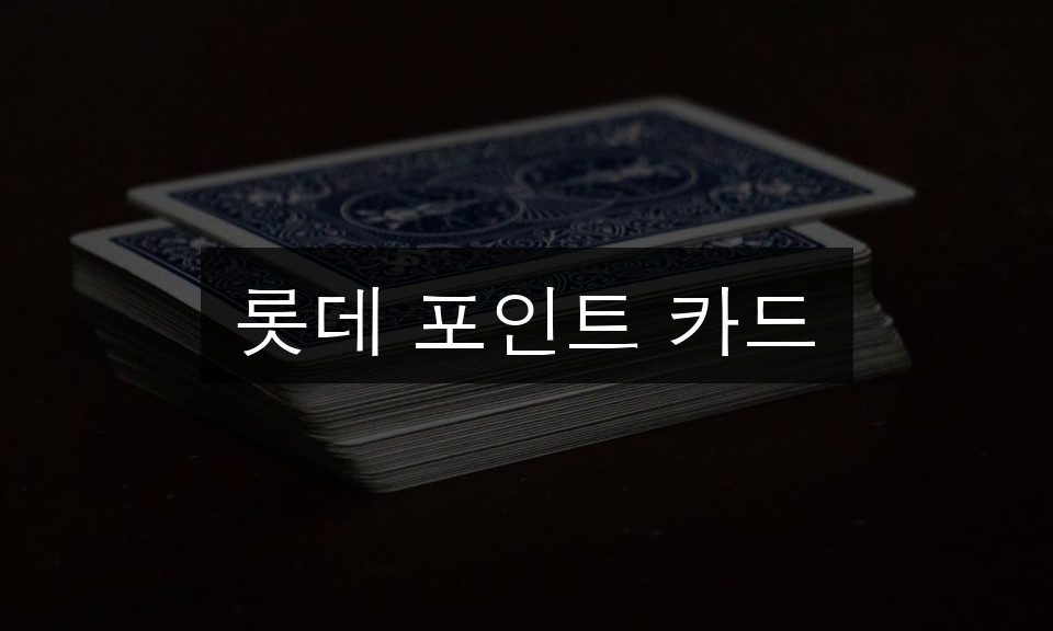 롯데 포인트 카드 적립률 총정리 | 알면 득되는 꿀팁