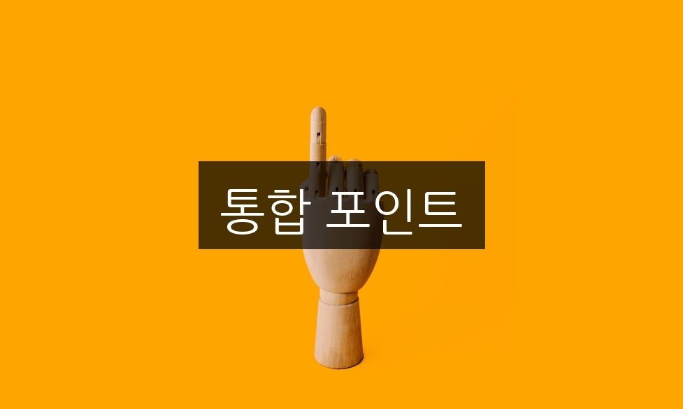 통합 포인트 3가지 핵심 활용법 총정리