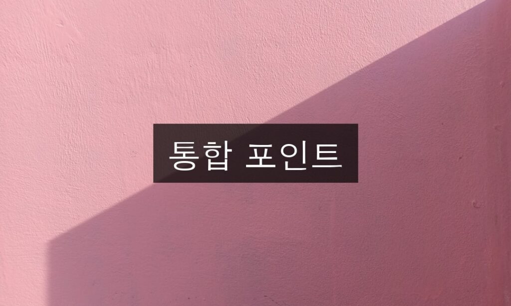 통합 포인트 사용법 | 초보자 가이드