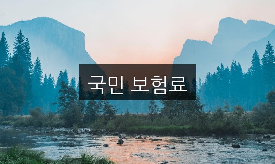 국민 보험료, 알아야 할 혜택 총정리