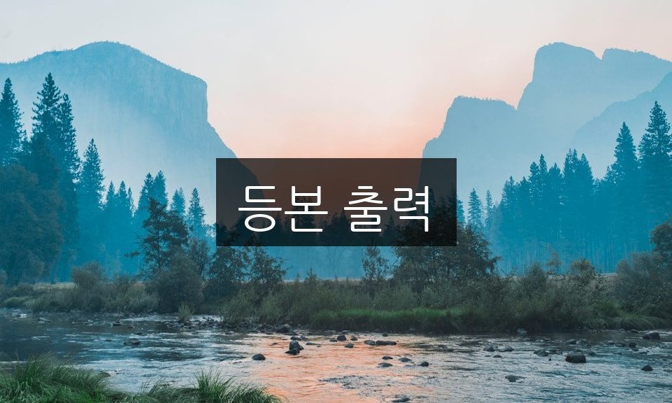 등본 출력 방법 | 간단하게 이해하기