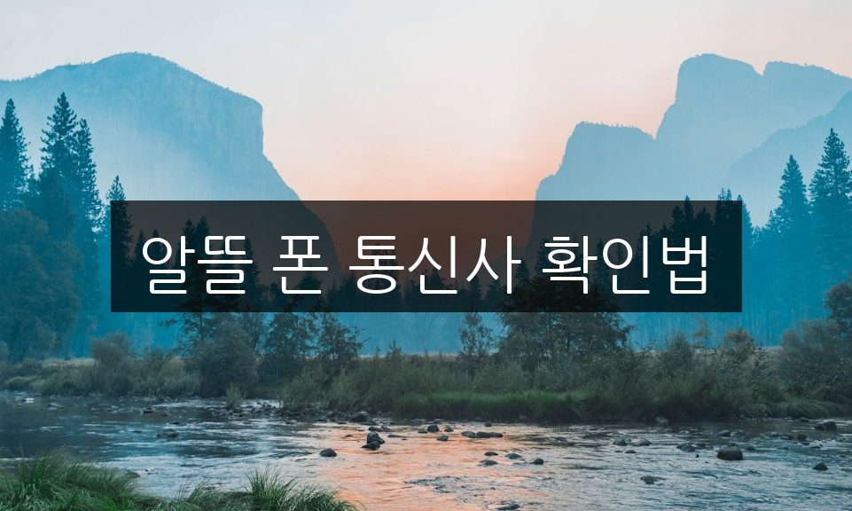 알뜰 폰 통신사 확인법 | 5단계로 쉽게 알아보기