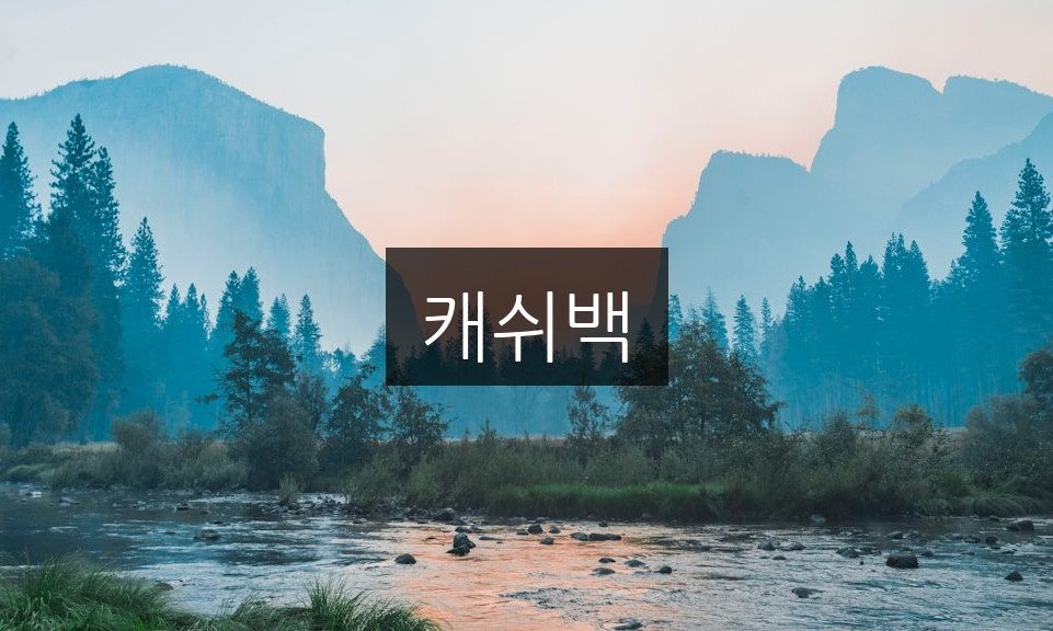 캐쉬백, 놓치면 손해인 혜택 총정리