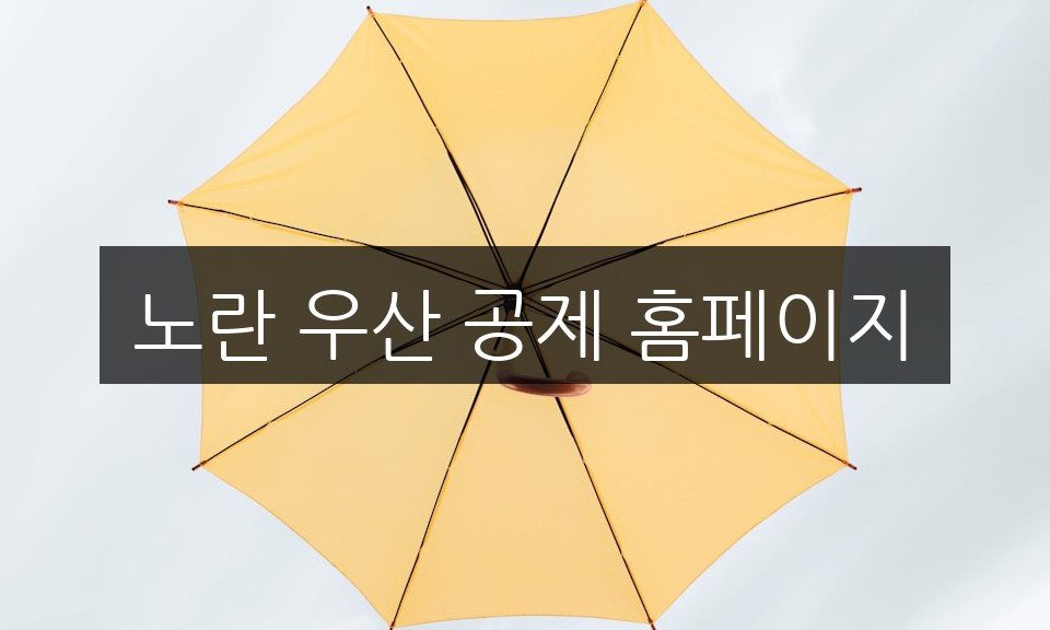 노란 우산 공제 홈페이지 활용법 | 반드시 알아야 할 5가지