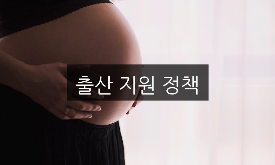 출산 지원 정책, 혜택과 신청 방법 총정리
