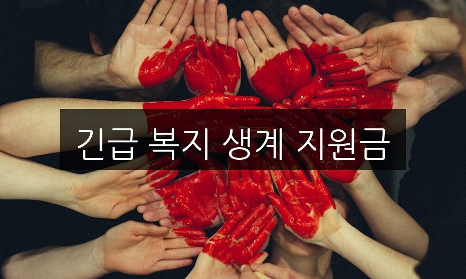긴급 복지 생계 지원금 신청 방법 | 자격 조건 완벽 정리