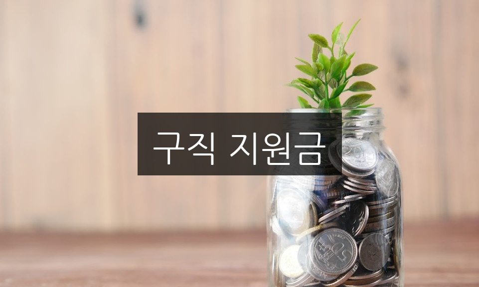 구직 지원금 신청 방법 | 자격 조건과 혜택 총정리