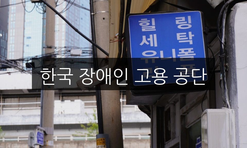 한국 장애인 고용 공단, 혜택과 지원 프로그램 완벽 정리