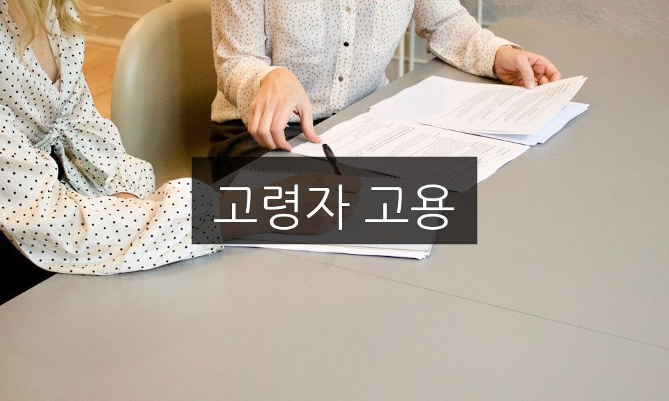 고령자 고용, 성공적인 취업 전략 5가지