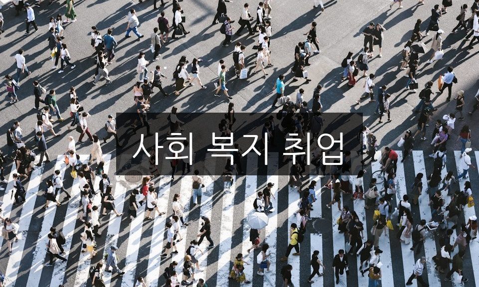 사회 복지 취업, 준비해야 할 필수 자격 조건 총정리