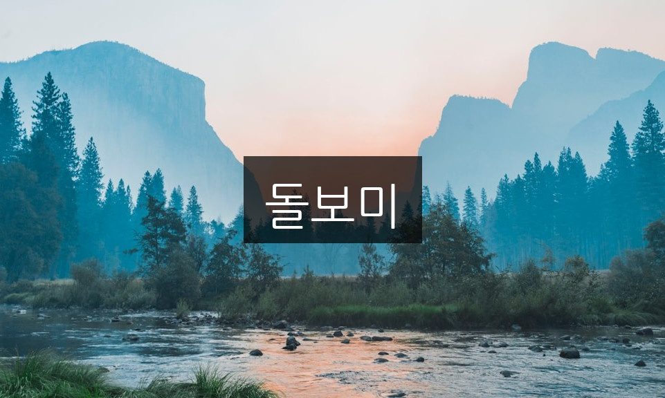 돌보미의 역할과 중요성 | 알아야 할 것들