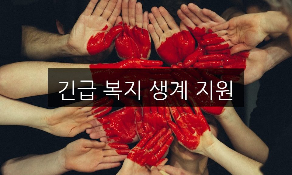 긴급 복지 생계 지원, 신청 방법과 자격 조건 완벽 정리