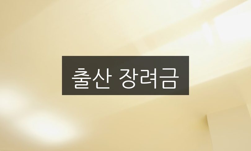 출산 장려금 신청 방법 | 자격 조건과 혜택 총정리