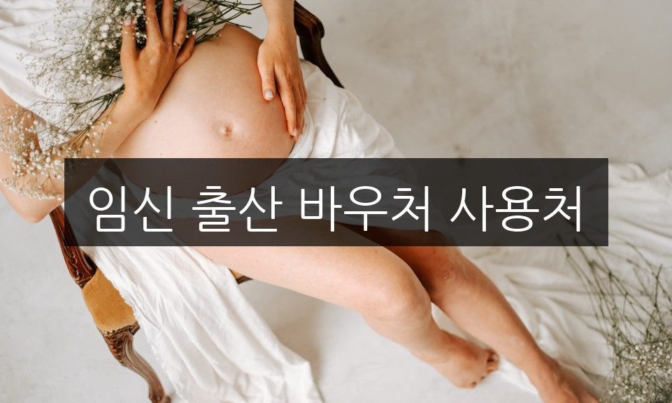 임신 출산 바우처 사용처, 혜택과 활용 방법 완벽 정리