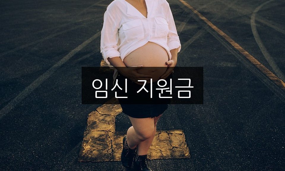 임신 지원금, 신청 방법과 자격 조건 완벽 정리