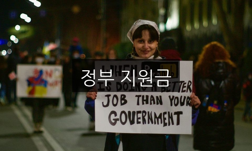 정부 지원금 신청 방법 | 놓치기 쉬운 꿀팁