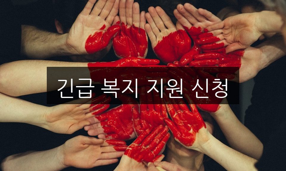 긴급 복지 지원 신청, 자격 조건과 신청 방법 완벽 정리