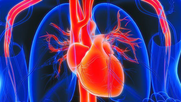 스텐트와 항응고제 단독요법, 심방세동 환자에 최적의 선택은?