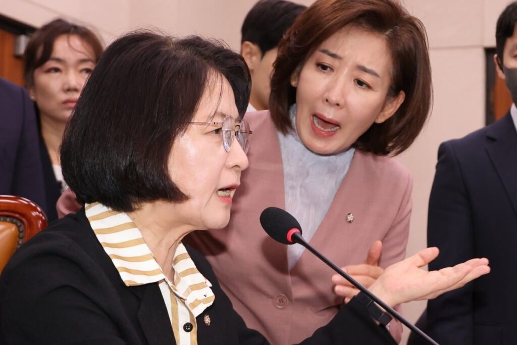 미쳐돌아간다 |  나경원, 민주당 비판에 거센 반응 촉발