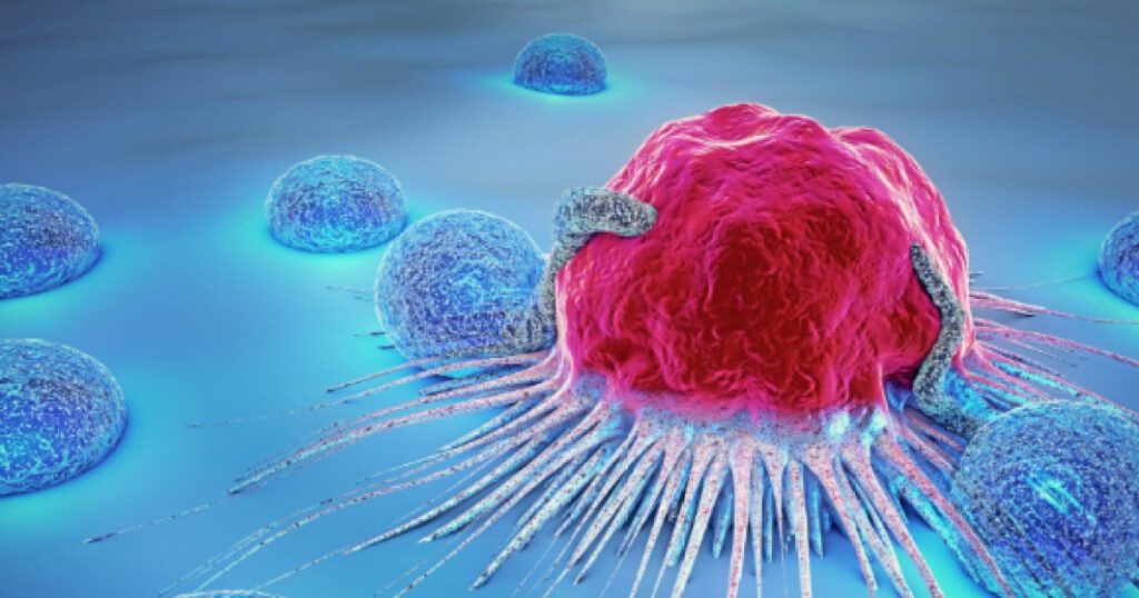 고소한 한 입으로 염증 싹, 암세포까지 무너뜨린다 | 이 음식의 놀라운 효과